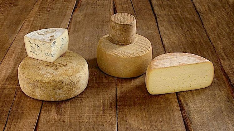 VINS ET FROMAGES – Quatre médailles pour des producteurs béarnais
